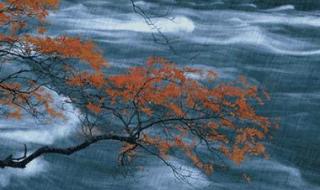 描写秋天的诗句～ 关于秋雨的古诗